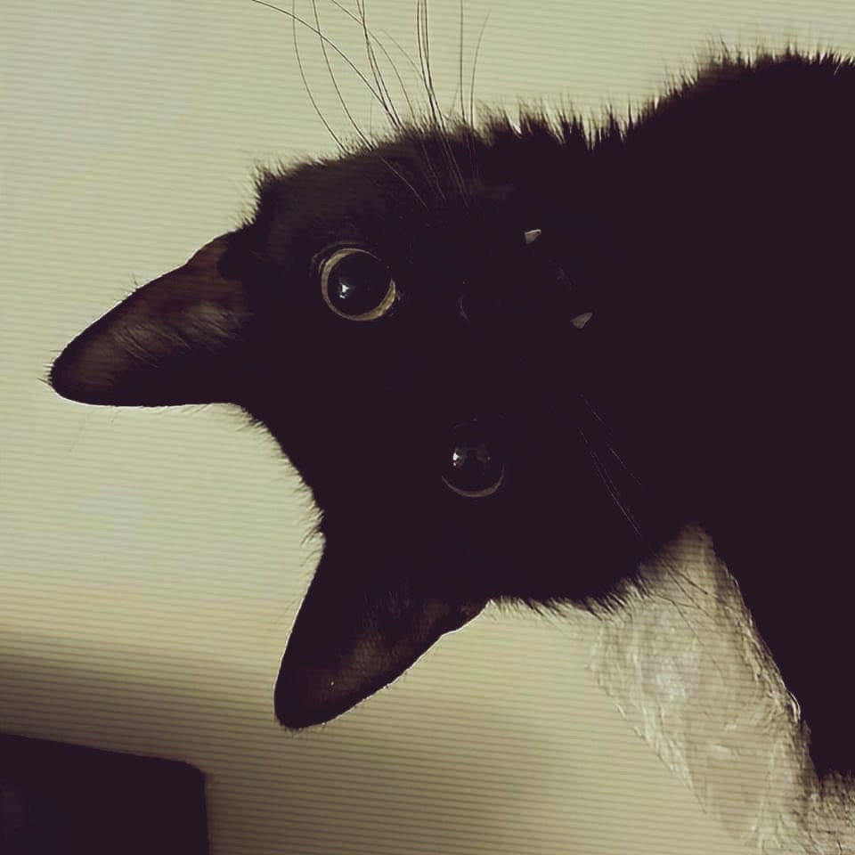 Support me please <3